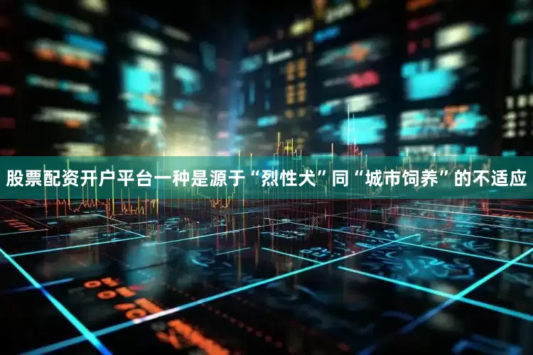 股票配资开户平台一种是源于“烈性犬”同“城市饲养”的不适应